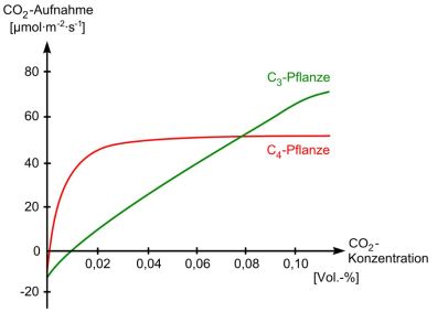 CO2 Aufnahme und Zuwachs